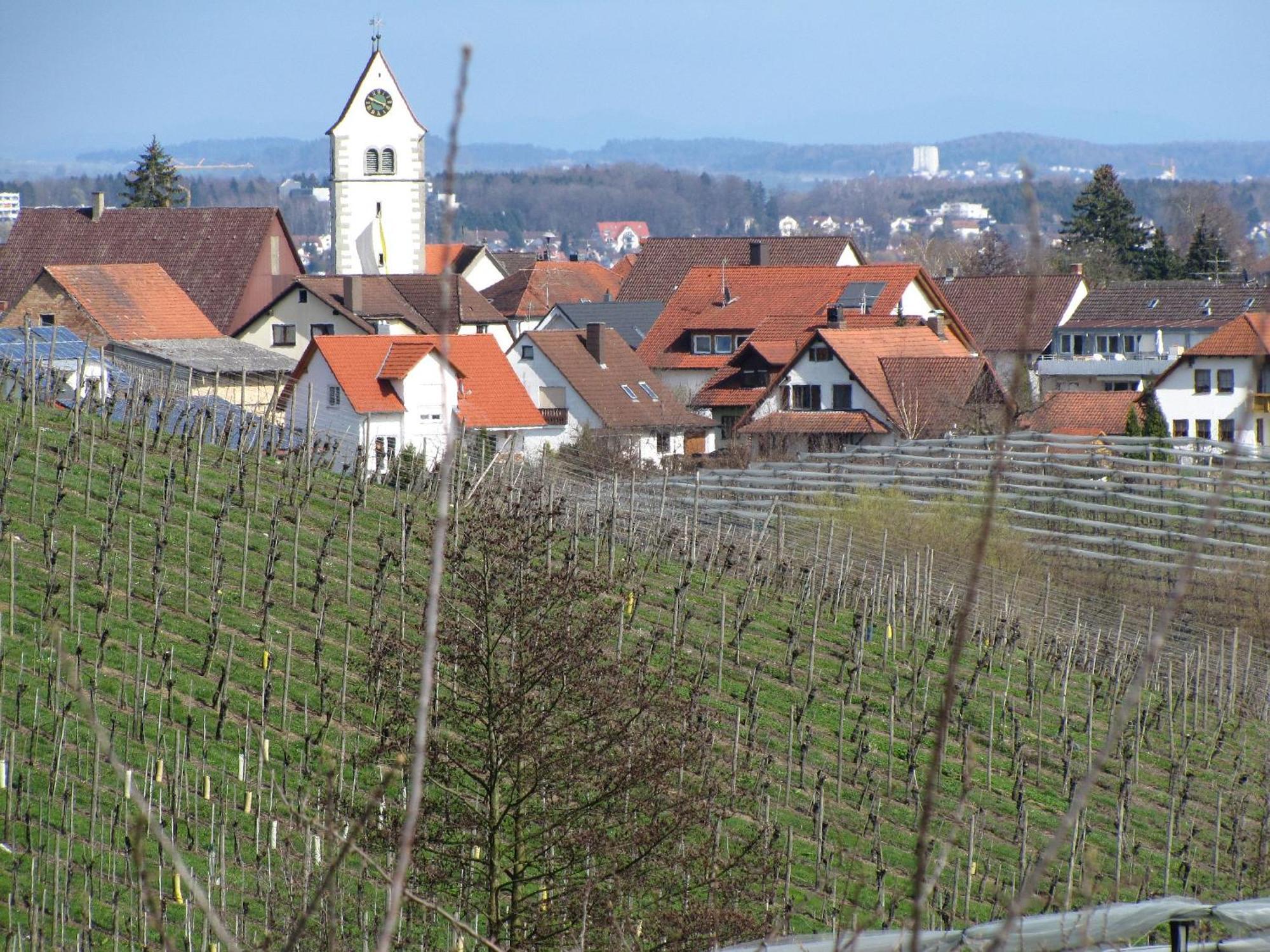 Obst- Ferienhof Ragg อิมเมนชตาด อัม โบเดนเซ ภายนอก รูปภาพ